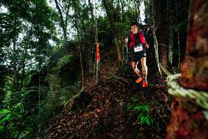 BIB: 
                            <button type="button" onclick="openModal(26198114)" class="btn btn-primary btn-sm float-right btn-popup" data-toggle="modal" data-target=".modal-high-quality">
                        <i class="fas fa-shopping-cart"></i> Add to Cart
                    </button>
                                            <button type="button" onclick="isThisMe(26198114, true)" class="btn btn-success btn-sm float-right btn-popup btn-isme hidden" data-toggle="tooltip" data-placement="bottom" title="นี่คือรูปของคุณใช่ไหม คลิกที่นี่เพื่อเอาเข้าอัลบั้ม">
                        <i class="fas fa-plus"></i> Add to album
                    </button>
                    <button type="button" onclick="isThisMe(26198114, false)" class="btn btn-warning btn-sm float-right btn-popup btn-isnotme hidden">
                        <i class="fas fa-ban"></i> Remove from album
                    </button>